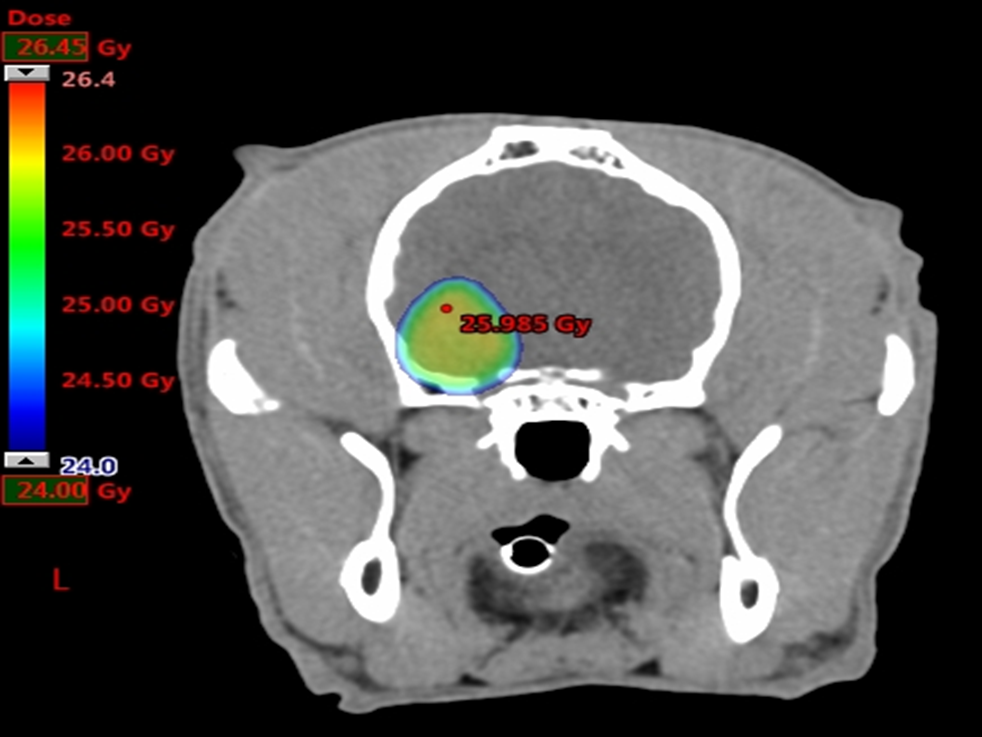 external_image
