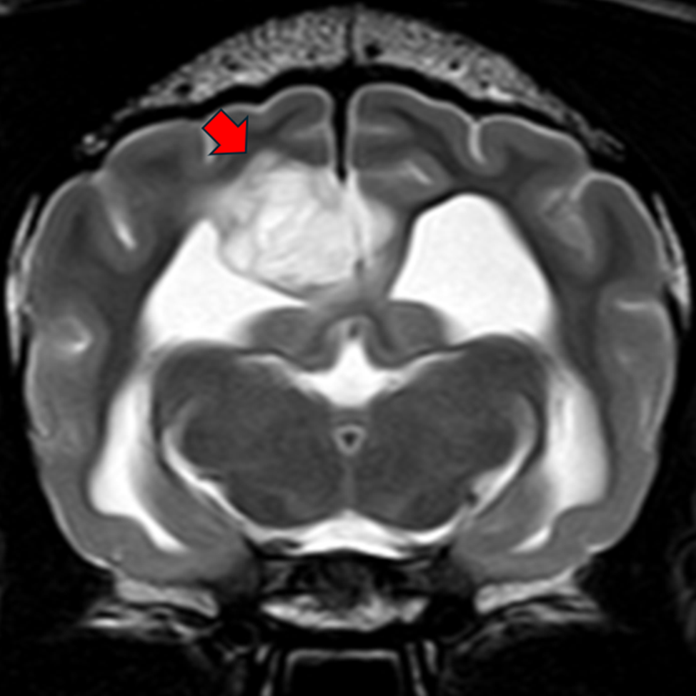 external_image