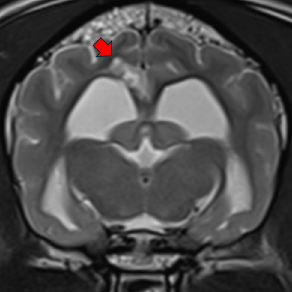 external_image