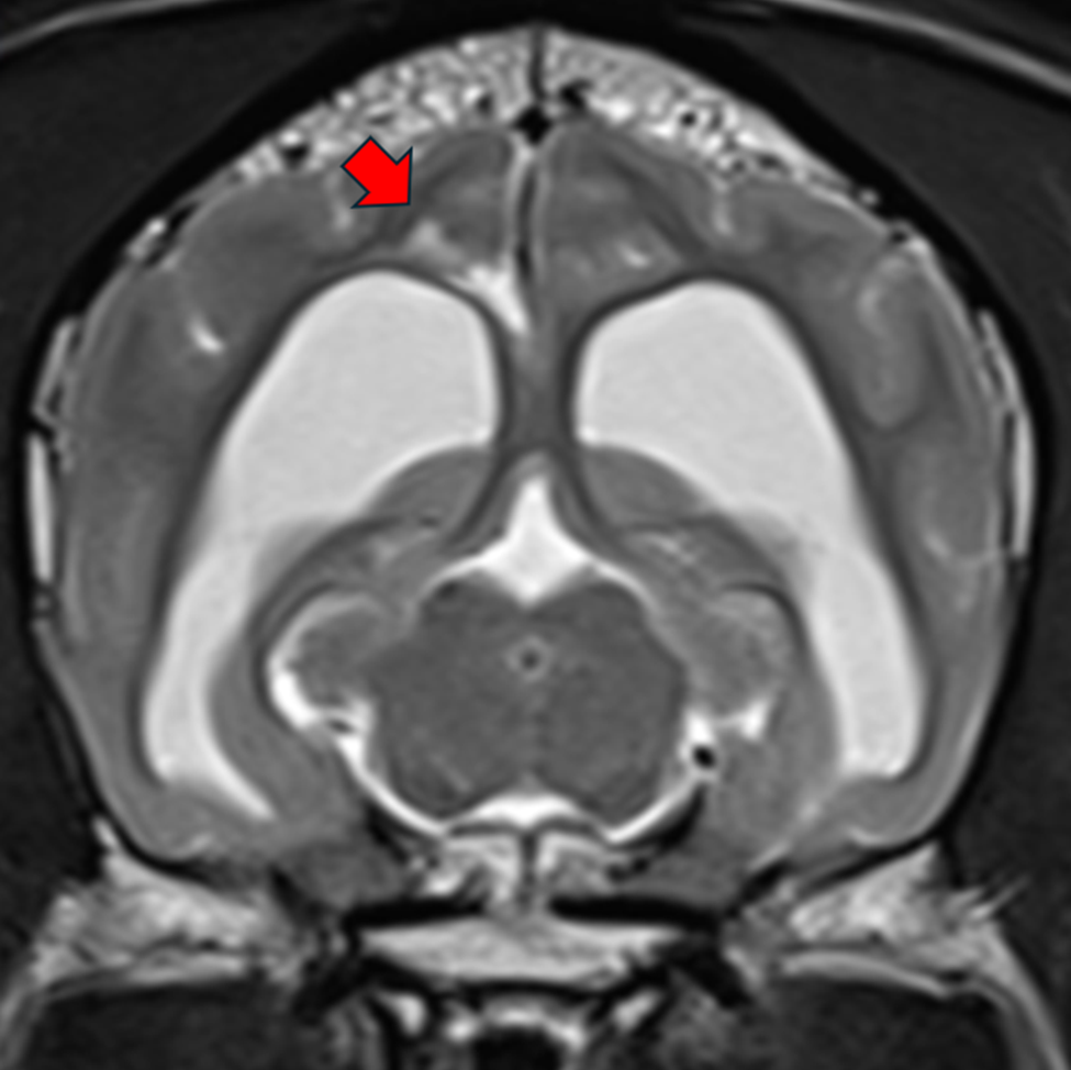 external_image