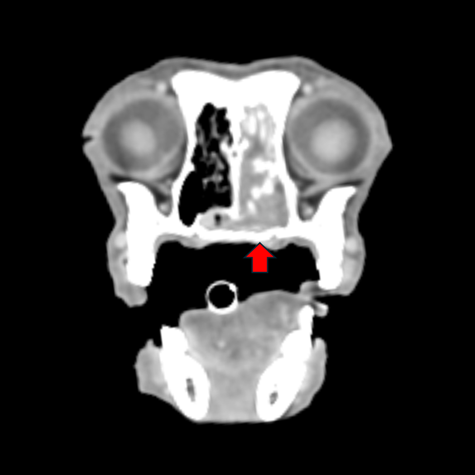 external_image