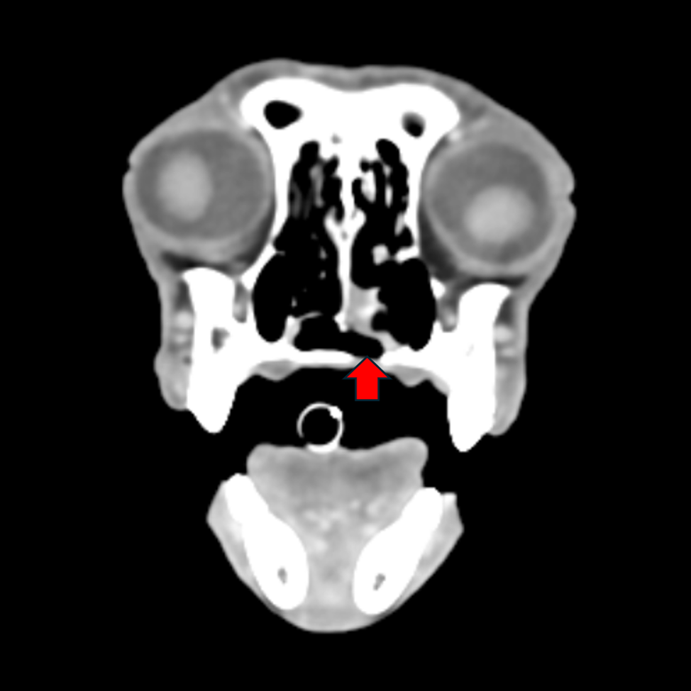 external_image