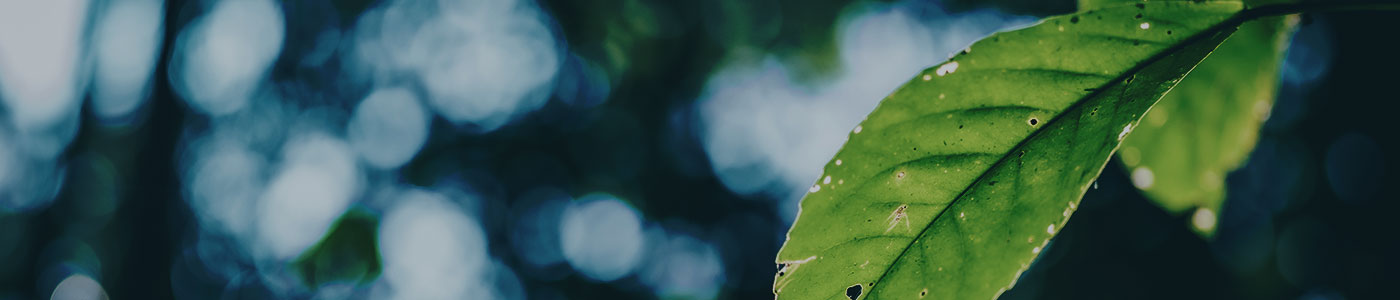 상허생명과학대학 관련 이미지