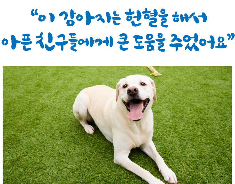 K U 아 임 도 그 너