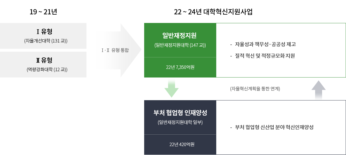 대학혁신지원사업 기본 구조